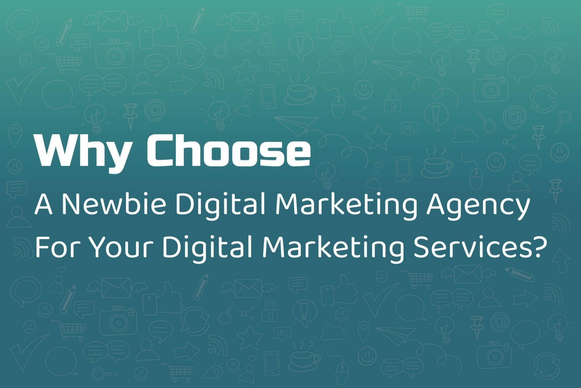 Why Choose A Newbie Digital Marketing Agency For Your Digital Marketing Services?